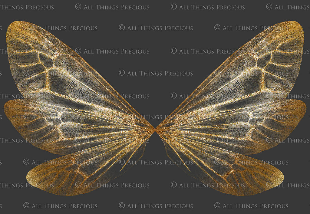 Digital Faery Wing Overlays! Fairy wings, Png overlays for photoshop. Photography editing. High resolution, 300dpi fairy wings. Overlays for photography. Digital stock and resources. Graphic design. Fairy Photos. Colourful Fairy wings. Faerie Wings.