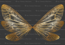 Load image into Gallery viewer, Digital Faery Wing Overlays! Fairy wings, Png overlays for photoshop. Photography editing. High resolution, 300dpi fairy wings. Overlays for photography. Digital stock and resources. Graphic design. Fairy Photos. Colourful Fairy wings. Faerie Wings.
