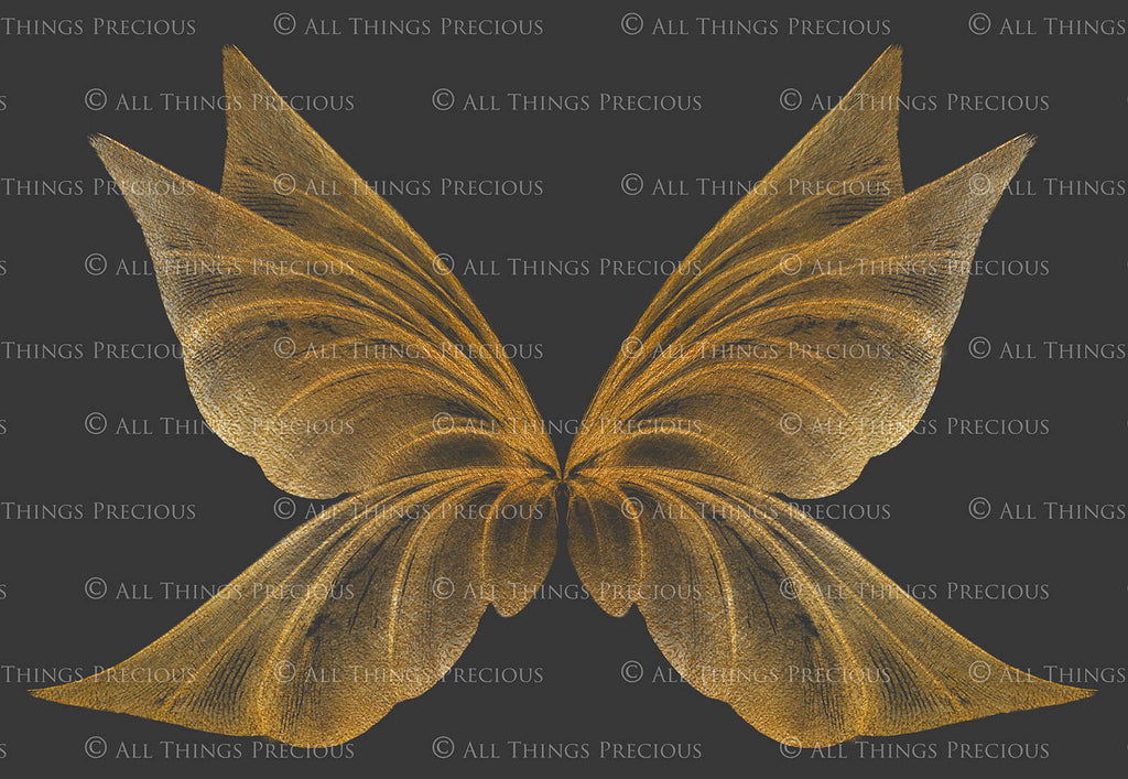 Digital Faery Wing Overlays! Fairy wings, Png overlays for photoshop. Photography editing. High resolution, 300dpi fairy wings. Overlays for photography. Digital stock and resources. Graphic design. Fairy Photos. Colourful Fairy wings. Faerie Wings.