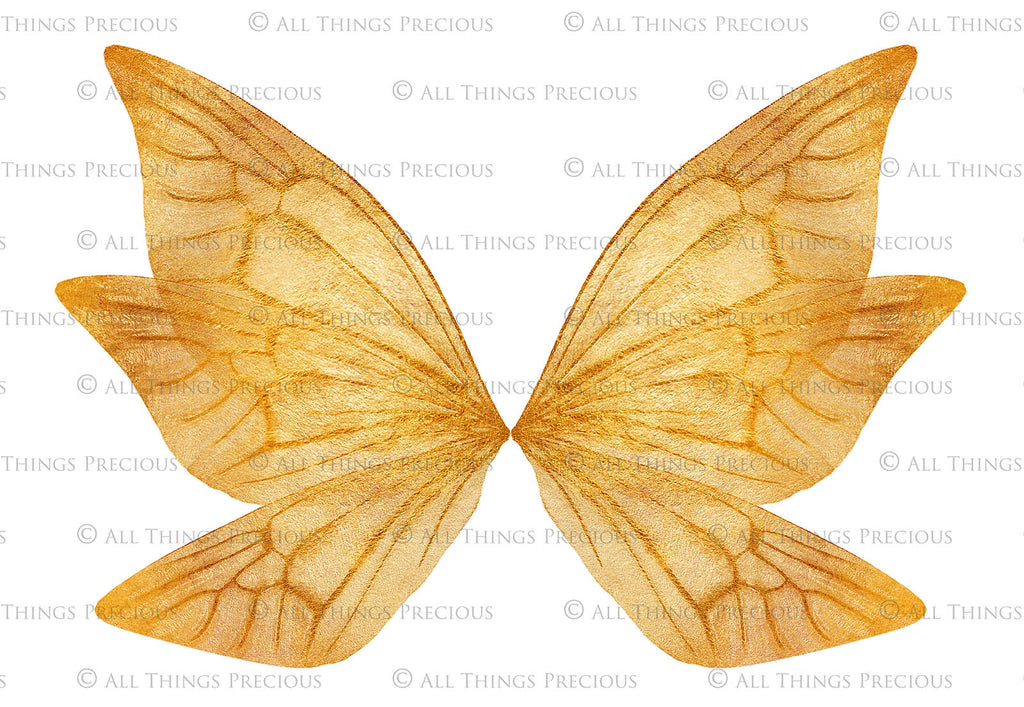 Digital Faery Wing Overlays! Fairy wings, Png overlays for photoshop. Photography editing. High resolution, 300dpi fairy wings. Overlays for photography. Digital stock and resources. Graphic design. Fairy Photos. Colourful Fairy wings. Faerie Wings.