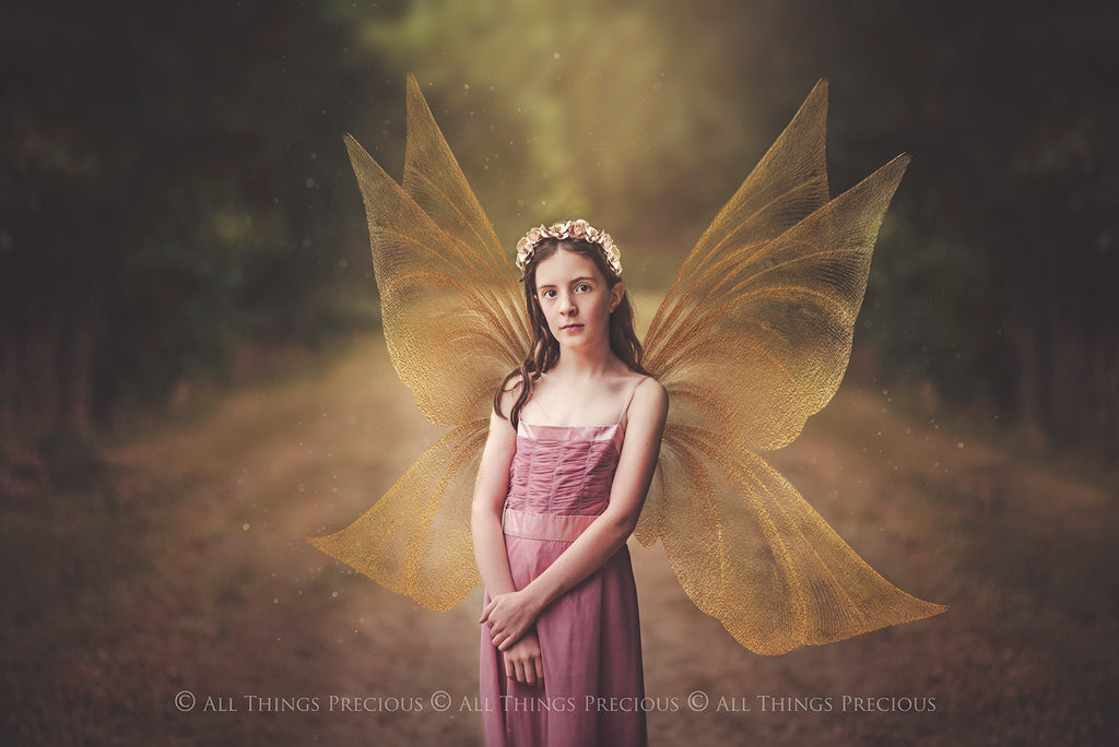 Digital Faery Wing Overlays! Fairy wings, Png overlays for photoshop. Photography editing. High resolution, 300dpi fairy wings. Overlays for photography. Digital stock and resources. Graphic design. Fairy Photos. Colourful Fairy wings. Faerie Wings.
