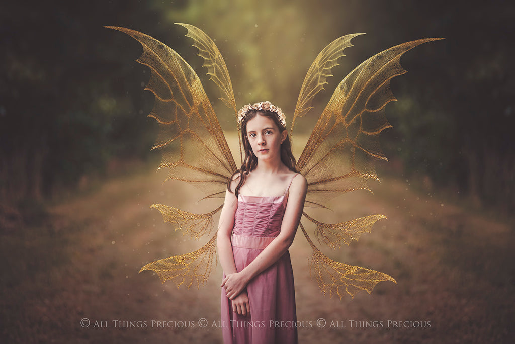 Digital Faery Wing Overlays! Fairy wings, Png overlays for photoshop. Photography editing. High resolution, 300dpi fairy wings. Overlays for photography. Digital stock and resources. Graphic design. Fairy Photos. Colourful Fairy wings. Faerie Wings.