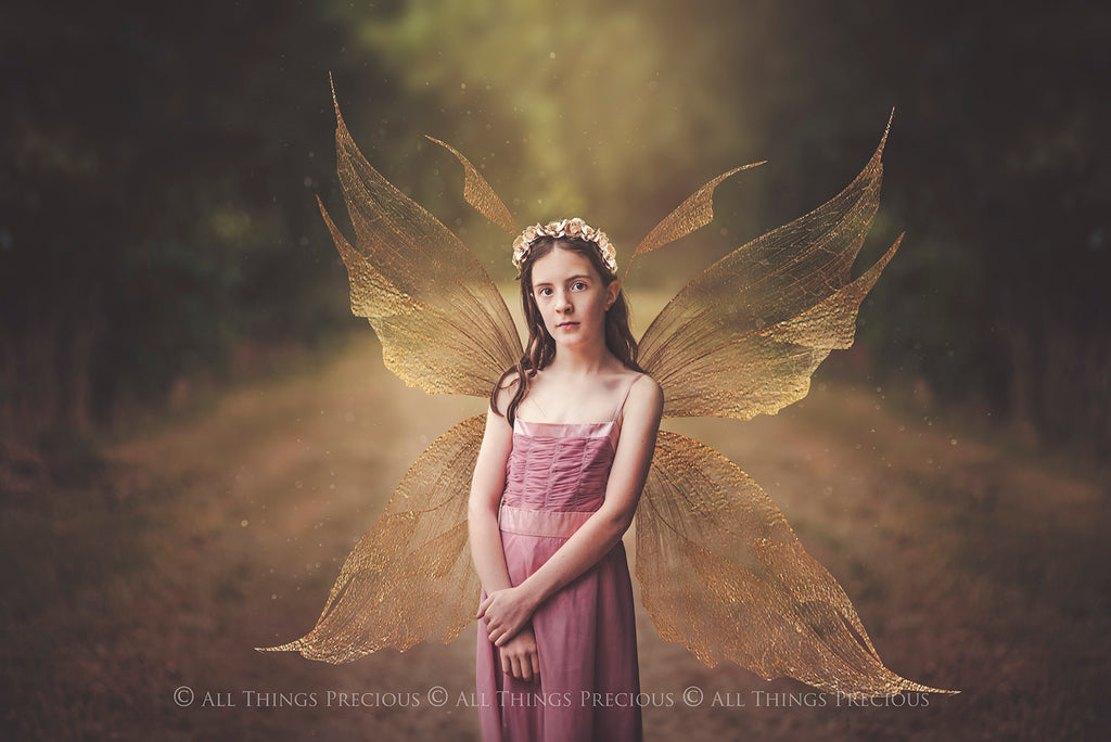 Digital Faery Wing Overlays! Fairy wings, Png overlays for photoshop. Photography editing. High resolution, 300dpi fairy wings. Overlays for photography. Digital stock and resources. Graphic design. Fairy Photos. Colourful Fairy wings. Faerie Wings.
