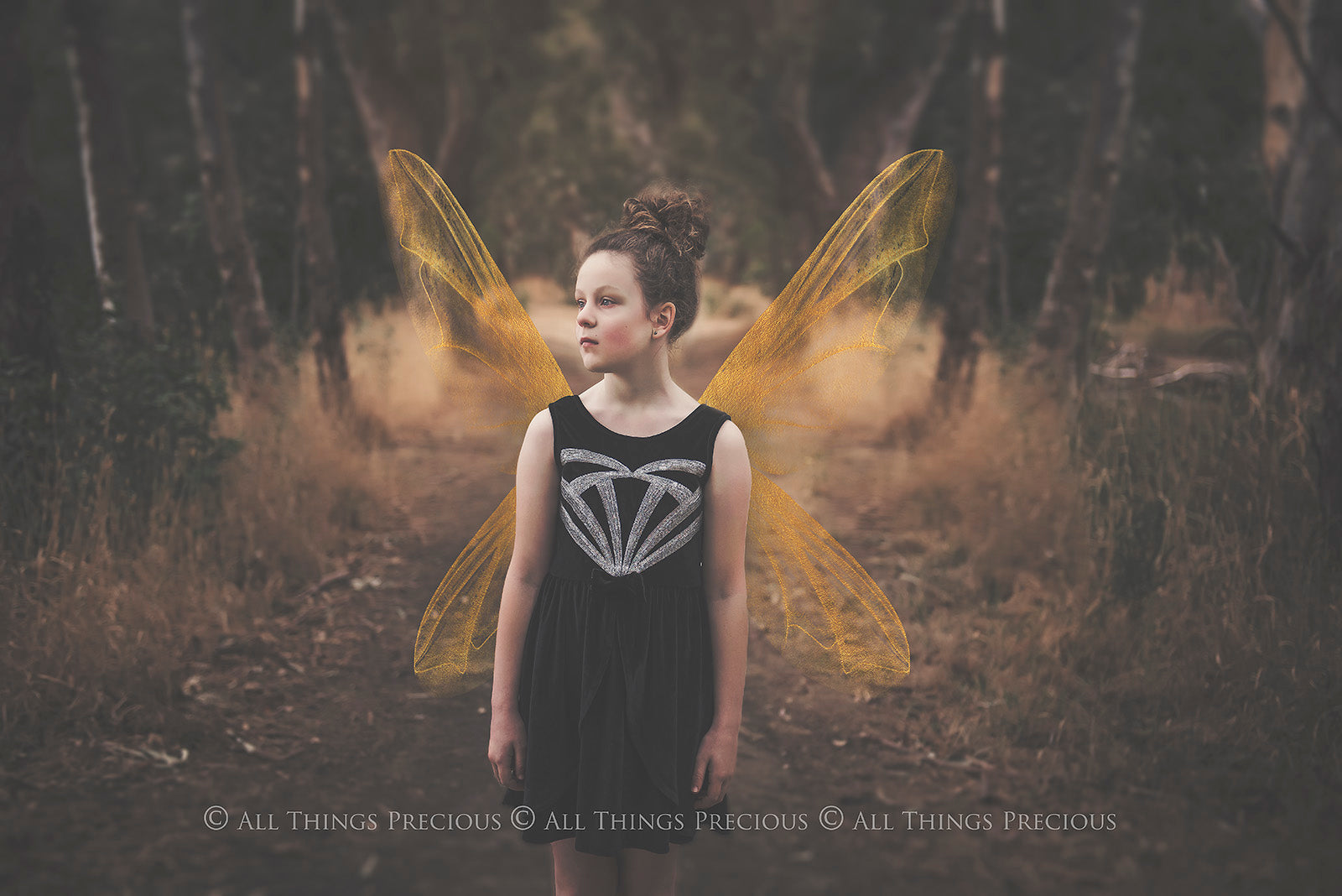 Digital Faery Wing Overlays! Fairy wings, Png overlays for photoshop. Photography editing. High resolution, 300dpi fairy wings. Overlays for photography. Digital stock and resources. Graphic design. Fairy Photos. Colourful Fairy wings. Faerie Wings.