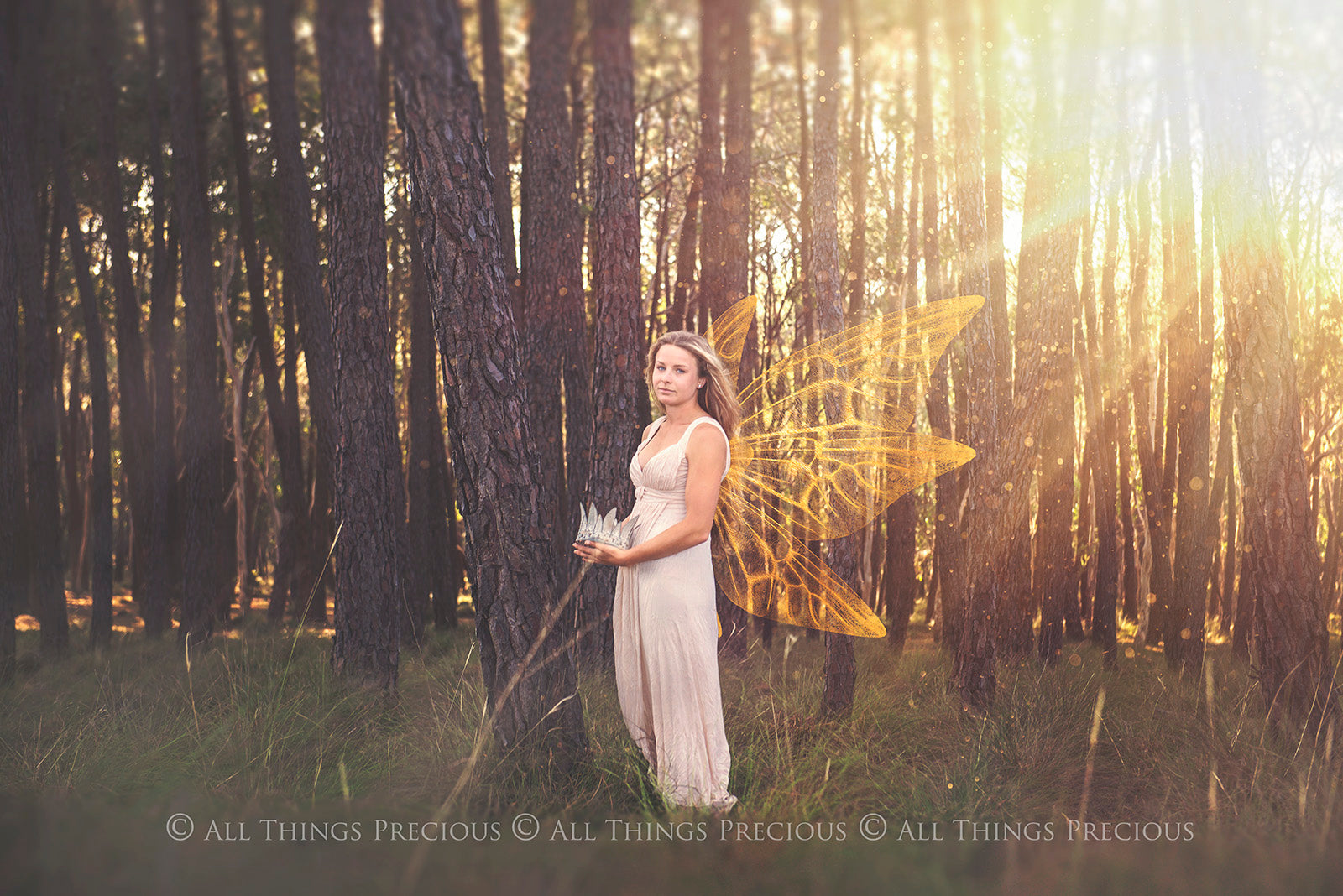 Digital Faery Wing Overlays! Fairy wings, Png overlays for photoshop. Photography editing. High resolution, 300dpi fairy wings. Overlays for photography. Digital stock and resources. Graphic design. Fairy Photos. Colourful Fairy wings. Faerie Wings.