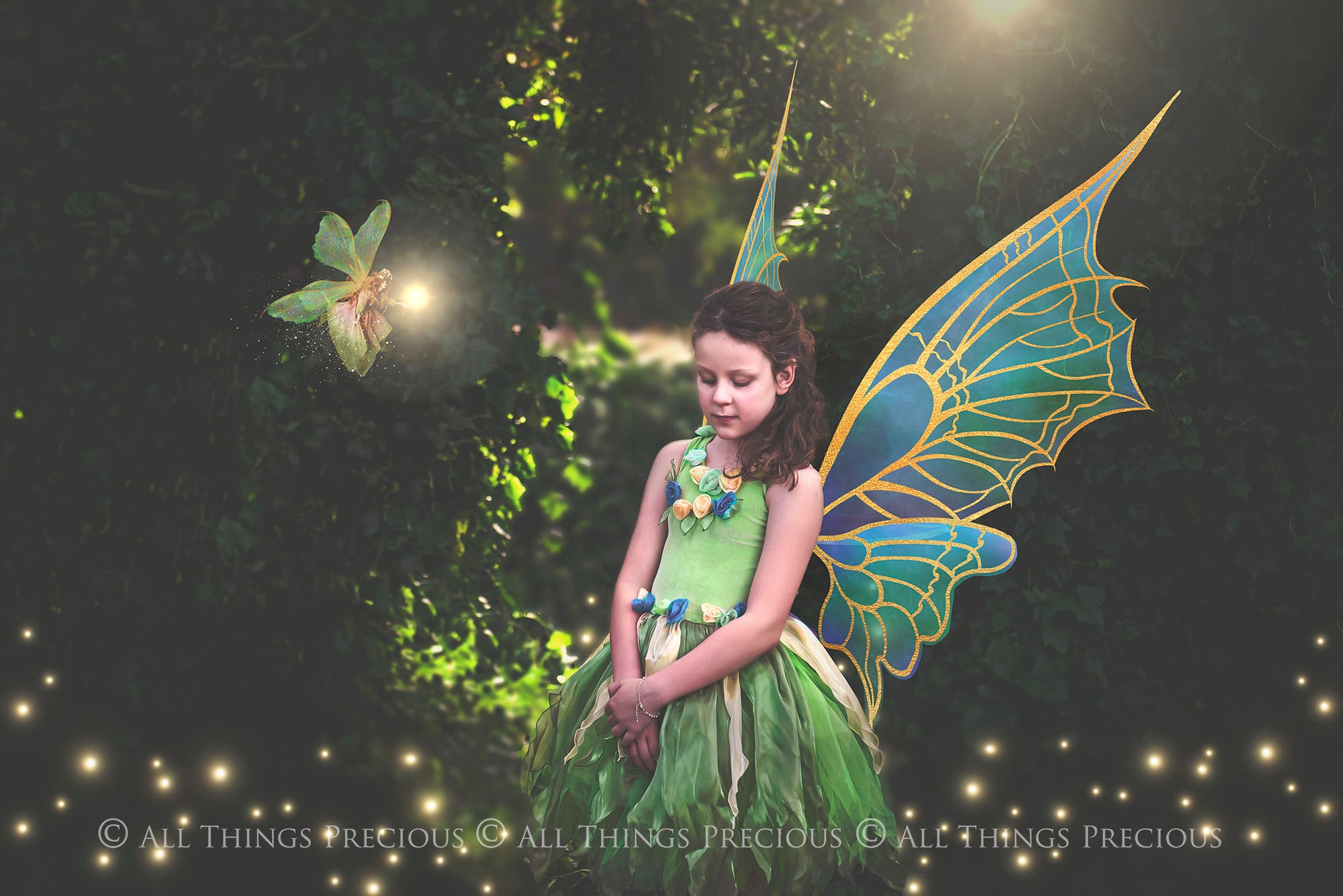 30 Png RAINBOW FAIRY WING Overlays - GOLD