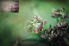 Load image into Gallery viewer, 10 Fine Art TEXTURES - GREEN Set 1
