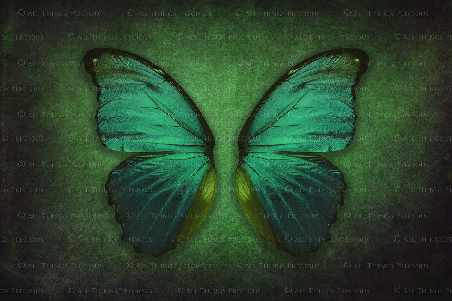 DIGITAL BACKDROP - Butterflies Set 2