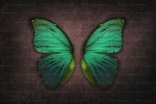 Load image into Gallery viewer, DIGITAL BACKDROP - Butterflies Set 2
