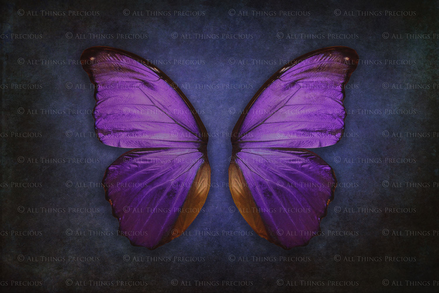 DIGITAL BACKDROP - Butterflies Set 3