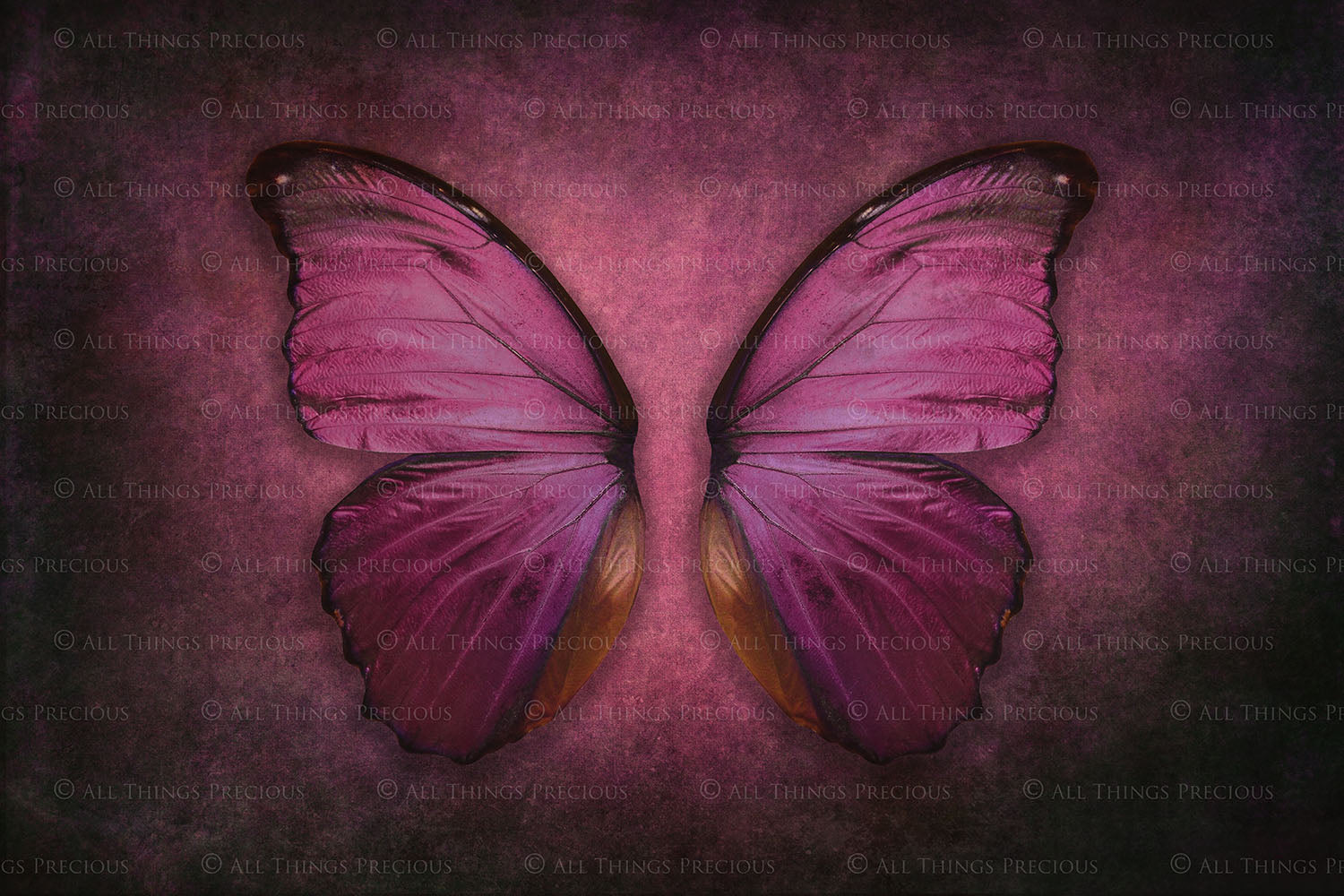 DIGITAL BACKDROP - Butterflies Set 4