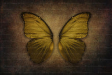 Load image into Gallery viewer, DIGITAL BACKDROP - Butterflies Set 5
