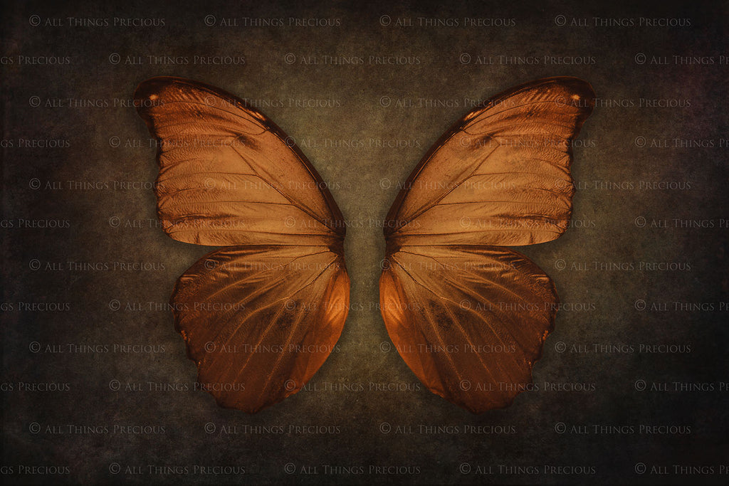 DIGITAL BACKDROP - Butterflies Set 6