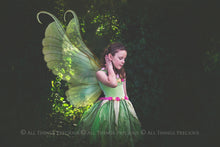 Load image into Gallery viewer, BUNDLE - 80 FAIRY WING OVERLAYS - Set 6
