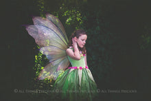 Load image into Gallery viewer, BUNDLE - 80 FAIRY WING OVERLAYS - Set 6
