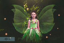 Load image into Gallery viewer, BUNDLE - 80 FAIRY WING OVERLAYS - Set 2
