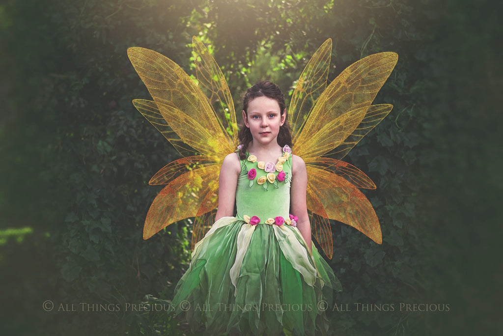 Digital Faery Wing Overlays! Fairy wings, Png overlays for photoshop. Photography editing. High resolution, 300dpi fairy wings. Overlays for photography. Digital stock and resources. Graphic design. Fairy Photos. Colourful Fairy wings. Faerie Wings.