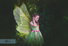 Load image into Gallery viewer, BUNDLE - FAIRY WING &amp; Digital Overlays with Photoshop ACTIONS
