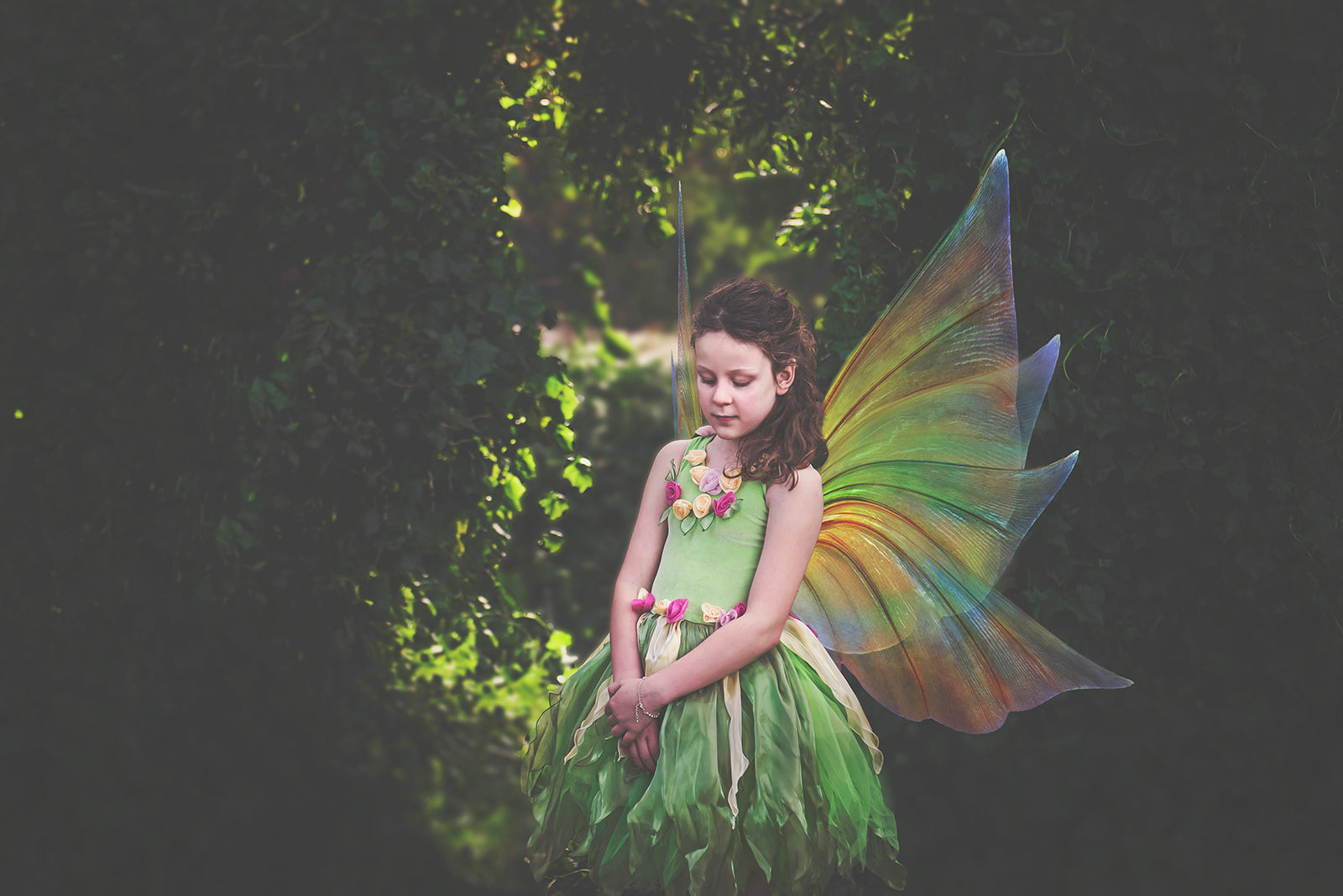 Digital Fairy Wings Overlays clipart. Png transparent see through files for photoshop. Butterfly Angel, Color, Print Photography editing. High resolution, 300dpi. Printable, Photography Graphic design assets, add on stock resources. Magical Scrapbooking design. Faery Photographer edit. Colorful Big Bundle. ATP Textures