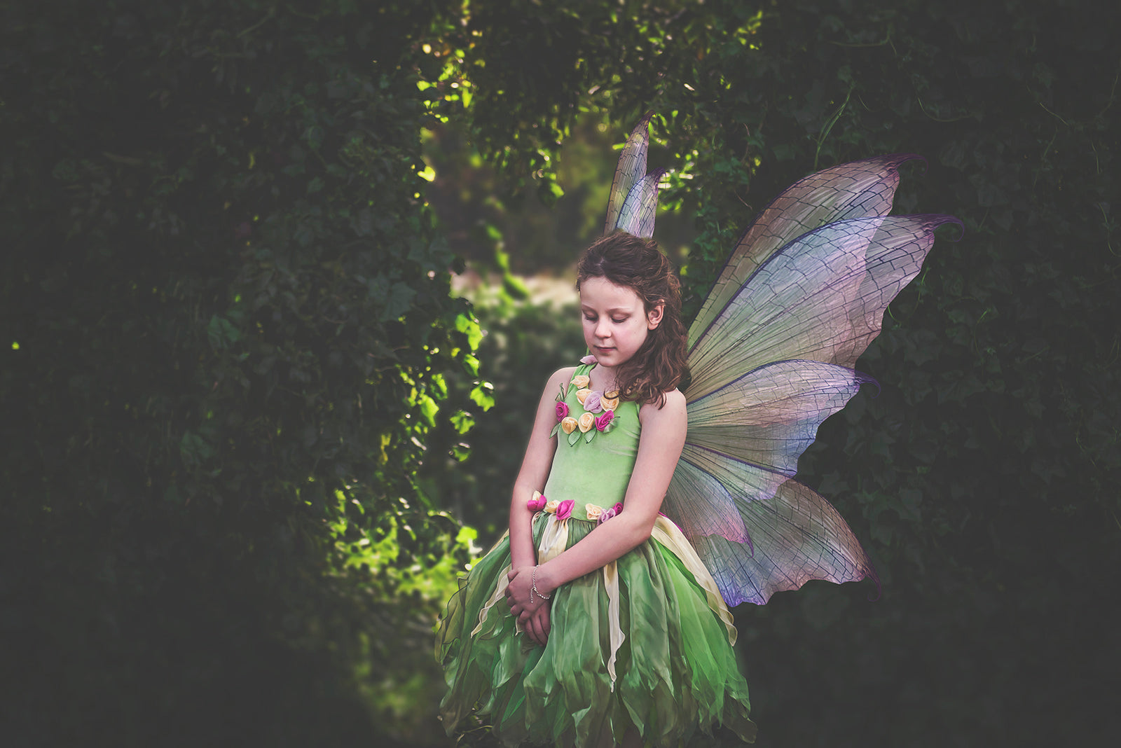 Digital Faery Wing Overlays. Png overlays for photoshop. Photography editing. High resolution, 300dpi fairy wings. Overlays for photography. Digital stock and resources. Graphic design. Fairy Photos. Colourful Fairy wings. Faerie Wings. ATP Textures. Overlays. Actions, Textures, Photo Resources, Photoshop. 