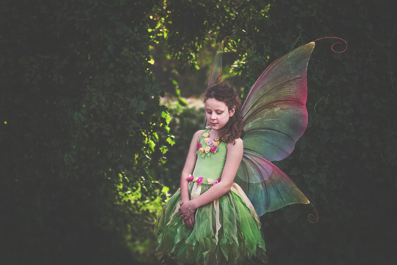 Digital Faery Wing Overlays. Png overlays for photoshop. Photography editing. High resolution, 300dpi fairy wings. Overlays for photography. Digital stock and resources. Graphic design. Fairy Photos. Colourful Fairy wings. Faerie Wings. ATP Textures. Overlays. Actions, Textures, Photo Resources, Photoshop. 