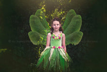 Load image into Gallery viewer, 103 FAIRY WINGS and DIGITAL OVERLAYS - BUNDLE - Set 3
