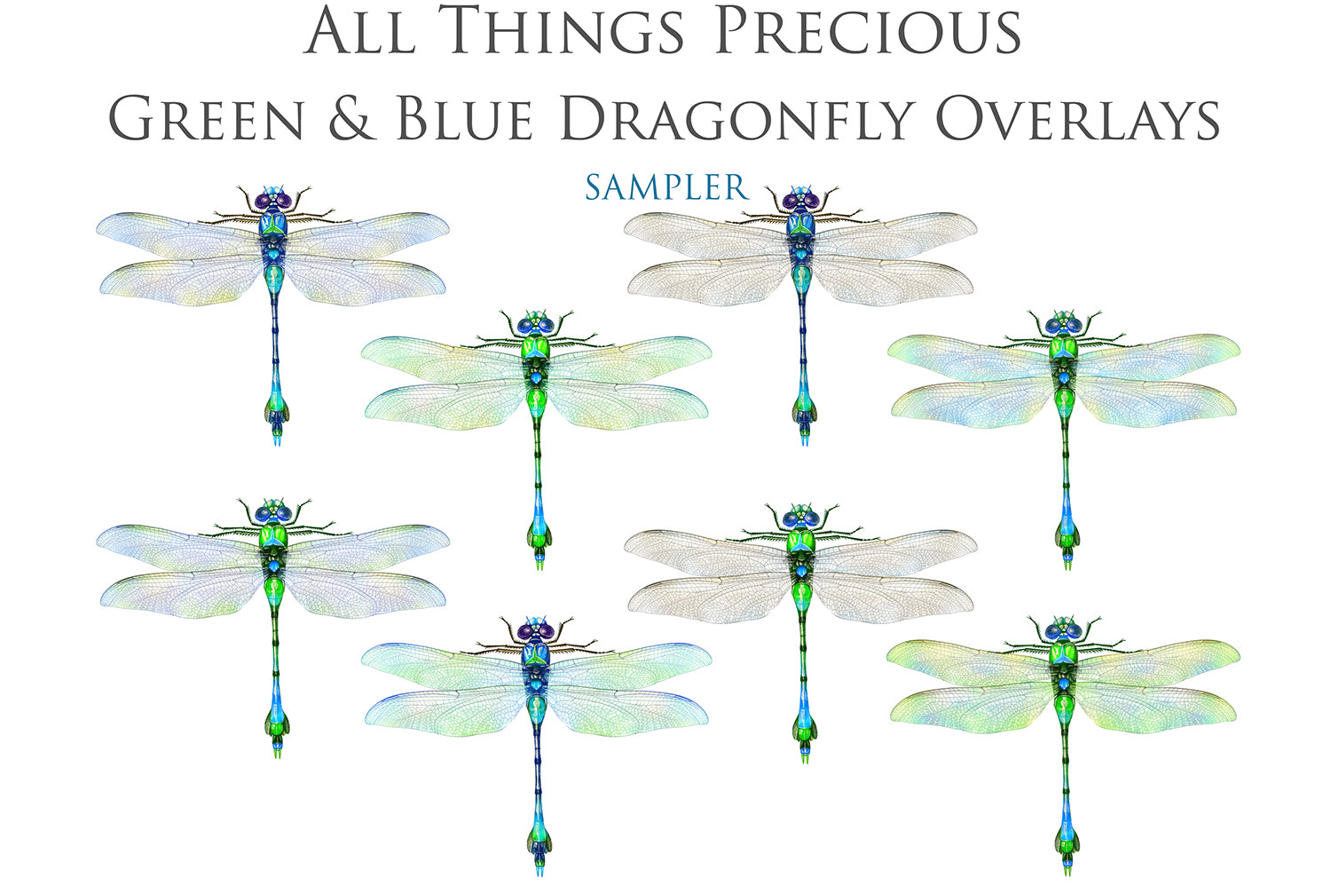 Png clipart for Photographers, Digital scrapbooking, Photo Overlays, Digital Overlay, Png Overlays, High resolution, Dragonfly overlays, Dragonflies clipart by ATP Textures Photoshop.