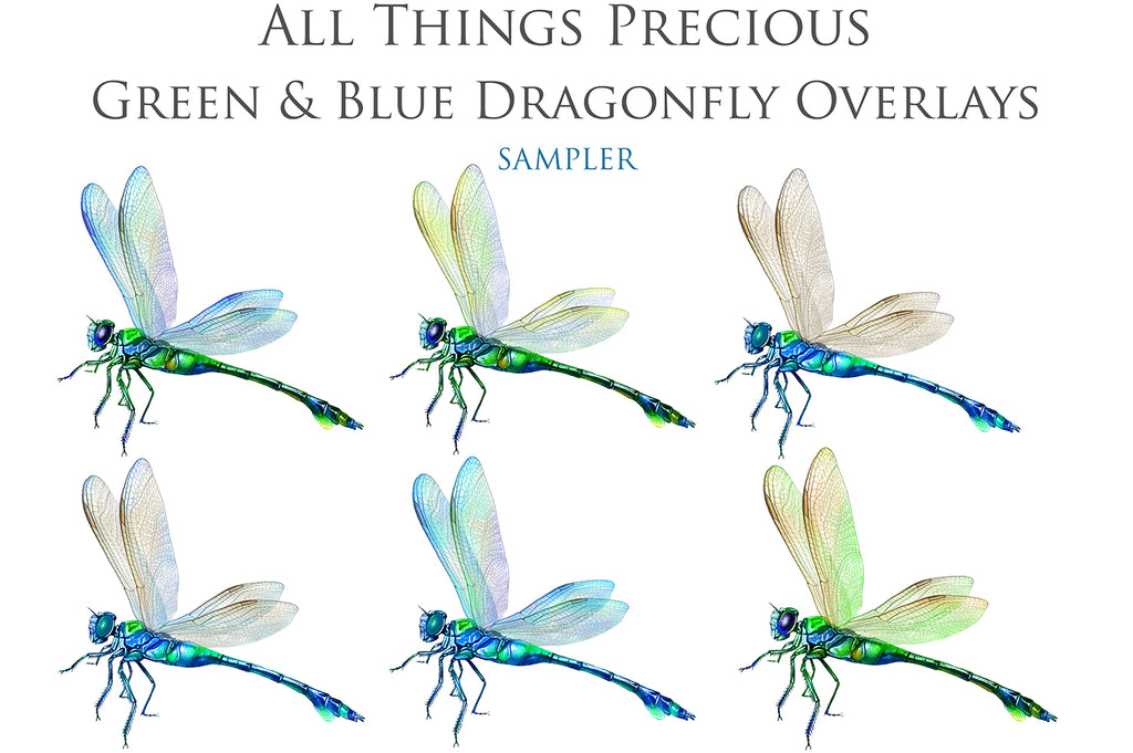 Png clipart for Photographers, Digital scrapbooking, Photo Overlays, Digital Overlay, Png Overlays, High resolution, Dragonfly overlays, Dragonflies clipart by ATP Textures Photoshop.