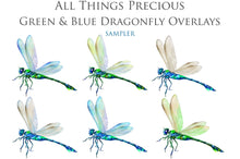 Load image into Gallery viewer, Png clipart for Photographers, Digital scrapbooking, Photo Overlays, Digital Overlay, Png Overlays, High resolution, Dragonfly overlays, Dragonflies clipart by ATP Textures Photoshop.
