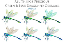 Load image into Gallery viewer, Png clipart for Photographers, Digital scrapbooking, Photo Overlays, Digital Overlay, Png Overlays, High resolution, Dragonfly overlays, Dragonflies clipart by ATP Textures Photoshop.
