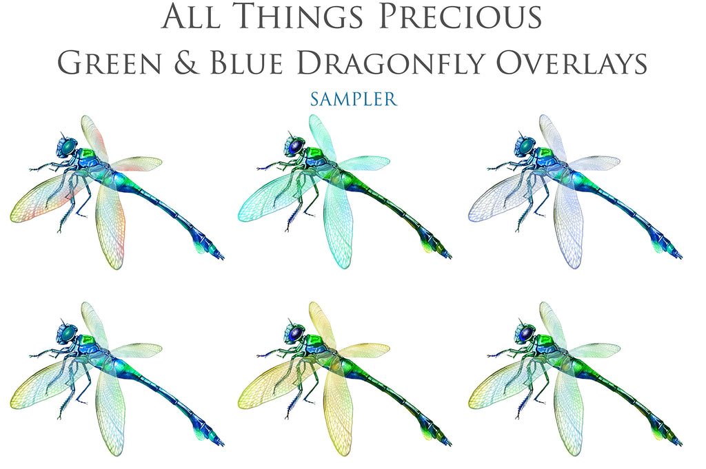 Png clipart for Photographers, Digital scrapbooking, Photo Overlays, Digital Overlay, Png Overlays, High resolution, Dragonfly overlays, Dragonflies clipart by ATP Textures Photoshop.