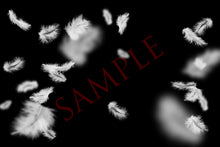 Load image into Gallery viewer, FLOATY FEATHERS Digital Overlays with Photoshop Brushes
