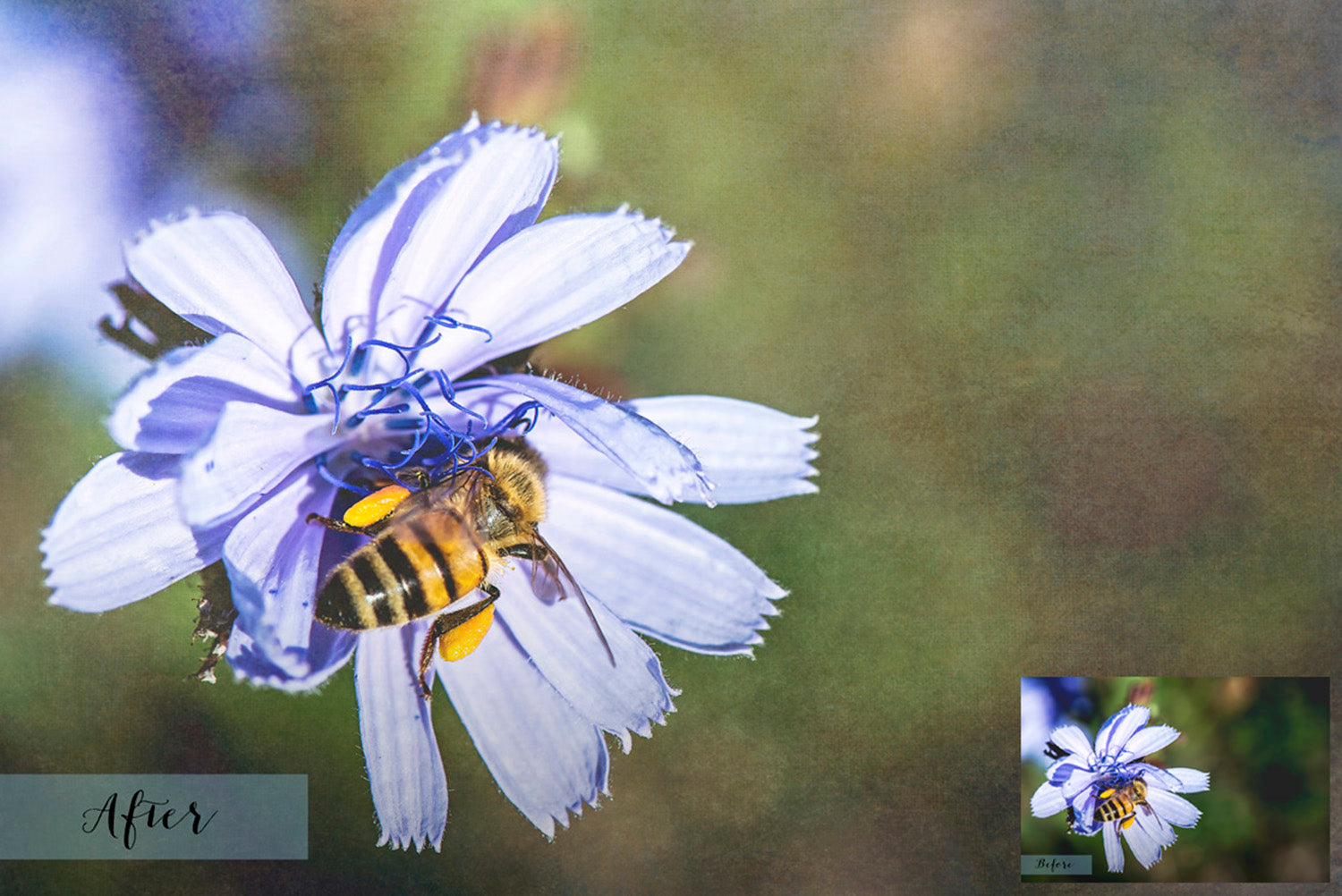 Fine art textures. Texture for photographers and digital editing. Photo Overlays. Antique, Vintage, Grunge, Light, Dark Bundle. Textured printable Canvas, Colour, Monochrome, Bundle. High resolution, 300dpi Graphic Assets for photography, digital scrapbooking and design. By ATP Textures