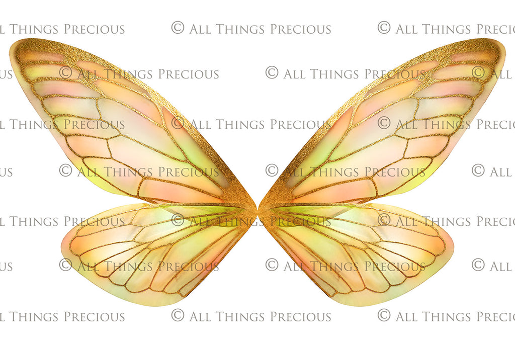 Digital Overlays for Photographers, Graphic design, scrapbooking and creatives.. Fairy Wings. High resolution, fine art digital assets for creating fantasy art.  Png overlay with transparent background. Magical Edit. Png Photo editing art assets.