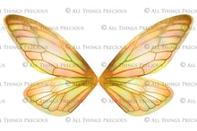 Load image into Gallery viewer, Digital Overlays for Photographers, Graphic design, scrapbooking and creatives.. Fairy Wings. High resolution, fine art digital assets for creating fantasy art.  Png overlay with transparent background. Magical Edit. Png Photo editing art assets.
