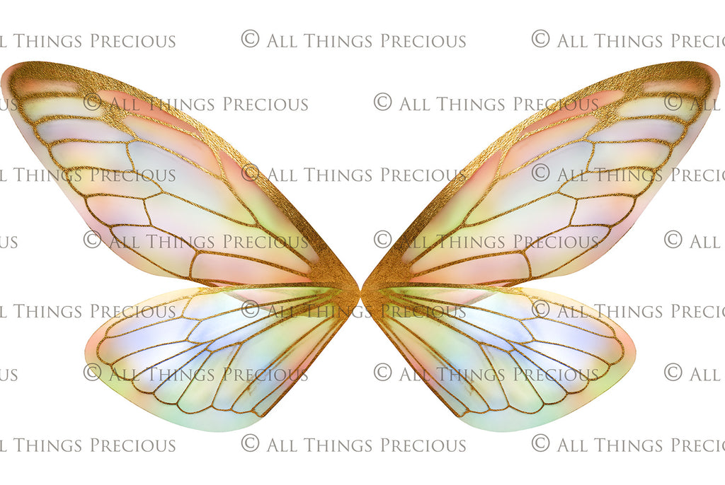 Digital Faery Wing Overlays! Fairy wings, Png overlays for photoshop. Photography editing. High resolution, 300dpi fairy wings. Overlays for photography. Digital stock and resources. Graphic design. Fairy Photos. Colourful Fairy wings. Faerie Wings.