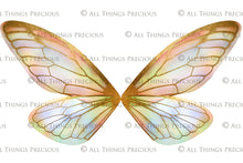 Load image into Gallery viewer, Digital Faery Wing Overlays! Fairy wings, Png overlays for photoshop. Photography editing. High resolution, 300dpi fairy wings. Overlays for photography. Digital stock and resources. Graphic design. Fairy Photos. Colourful Fairy wings. Faerie Wings.
