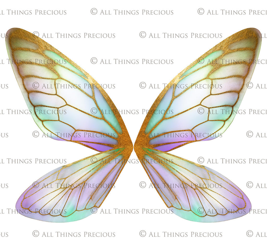 Digital Faery Wing Overlays! Fairy wings, Png overlays for photoshop. Photography editing. High resolution, 300dpi fairy wings. Overlays for photography. Digital stock and resources. Graphic design. Fairy Photos. Colourful Fairy wings. Faerie Wings.