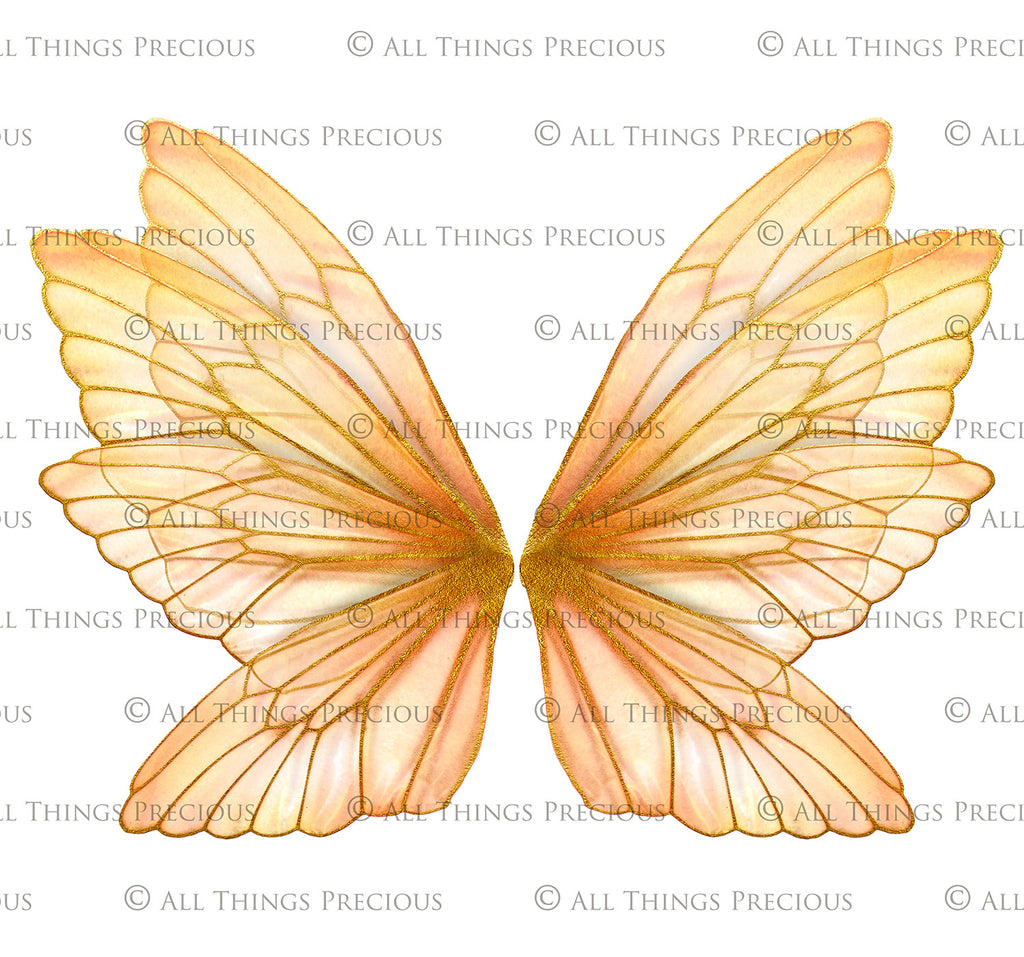 Digital Faery Wing Overlays! Fairy wings, Png overlays for photoshop. Photography editing. High resolution, 300dpi fairy wings. Overlays for photography. Digital stock and resources. Graphic design. Fairy Photos. Colourful Fairy wings. Faerie Wings.