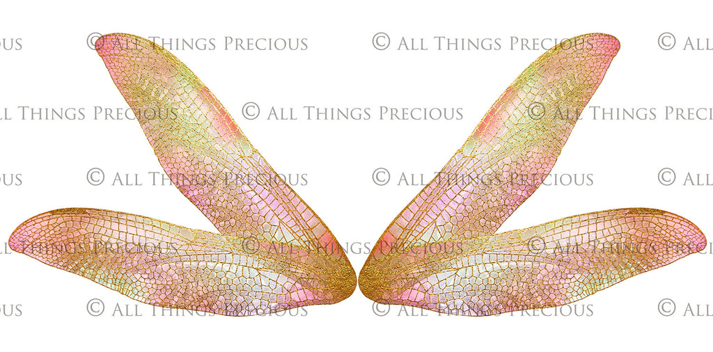 Digital Overlays for Photographers, Graphic design, scrapbooking and creatives.. Fairy Wings. High resolution, fine art digital assets for creating fantasy art.  Png overlay with transparent background. Magical Edit. Png Photo editing art assets.