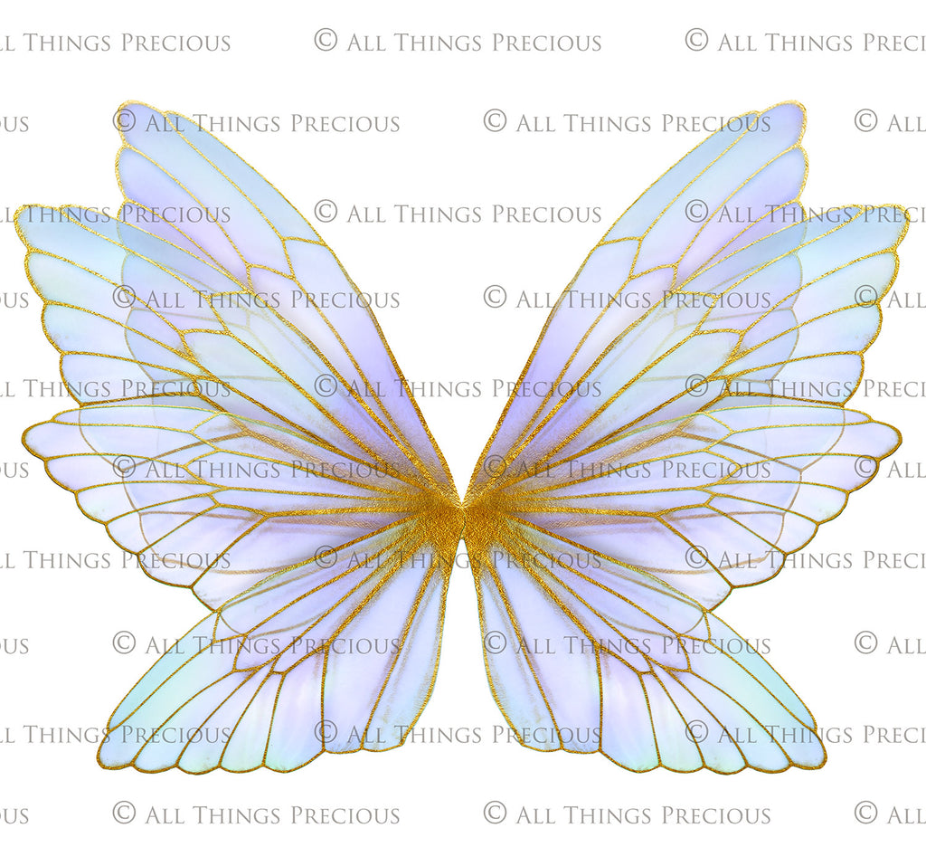 Digital Overlays for Photographers, Graphic design, scrapbooking and creatives.. Fairy Wings. High resolution, fine art digital assets for creating fantasy art.  Png overlay with transparent background. Magical Edit. Png Photo editing art assets.