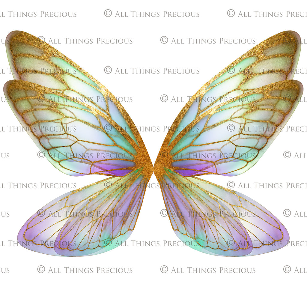 Digital Overlays for Photographers, Graphic design, scrapbooking and creatives.. Fairy Wings. High resolution, fine art digital assets for creating fantasy art.  Png overlay with transparent background. Magical Edit. Png Photo editing art assets.