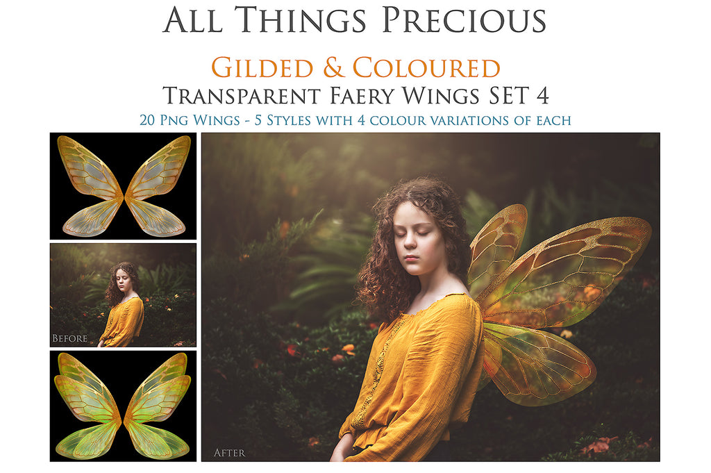 Digital Overlays for Photographers, Graphic design, scrapbooking and creatives.. Fairy Wings. High resolution, fine art digital assets for creating fantasy art.  Png overlay with transparent background. Magical Edit. Png Photo editing art assets.