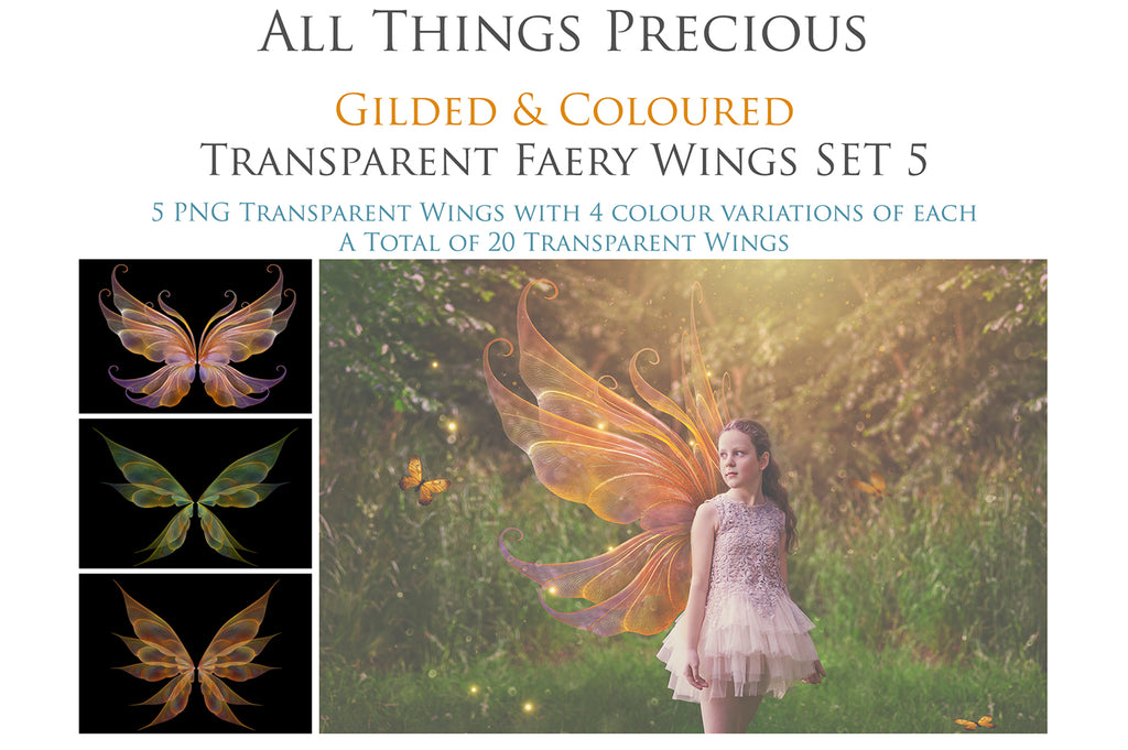 Digital Overlays for Photographers, Graphic design, scrapbooking and creatives.. Fairy Wings. High resolution, fine art digital assets for creating fantasy art.  Png overlay with transparent background. Magical Edit. Png Photo editing art assets.