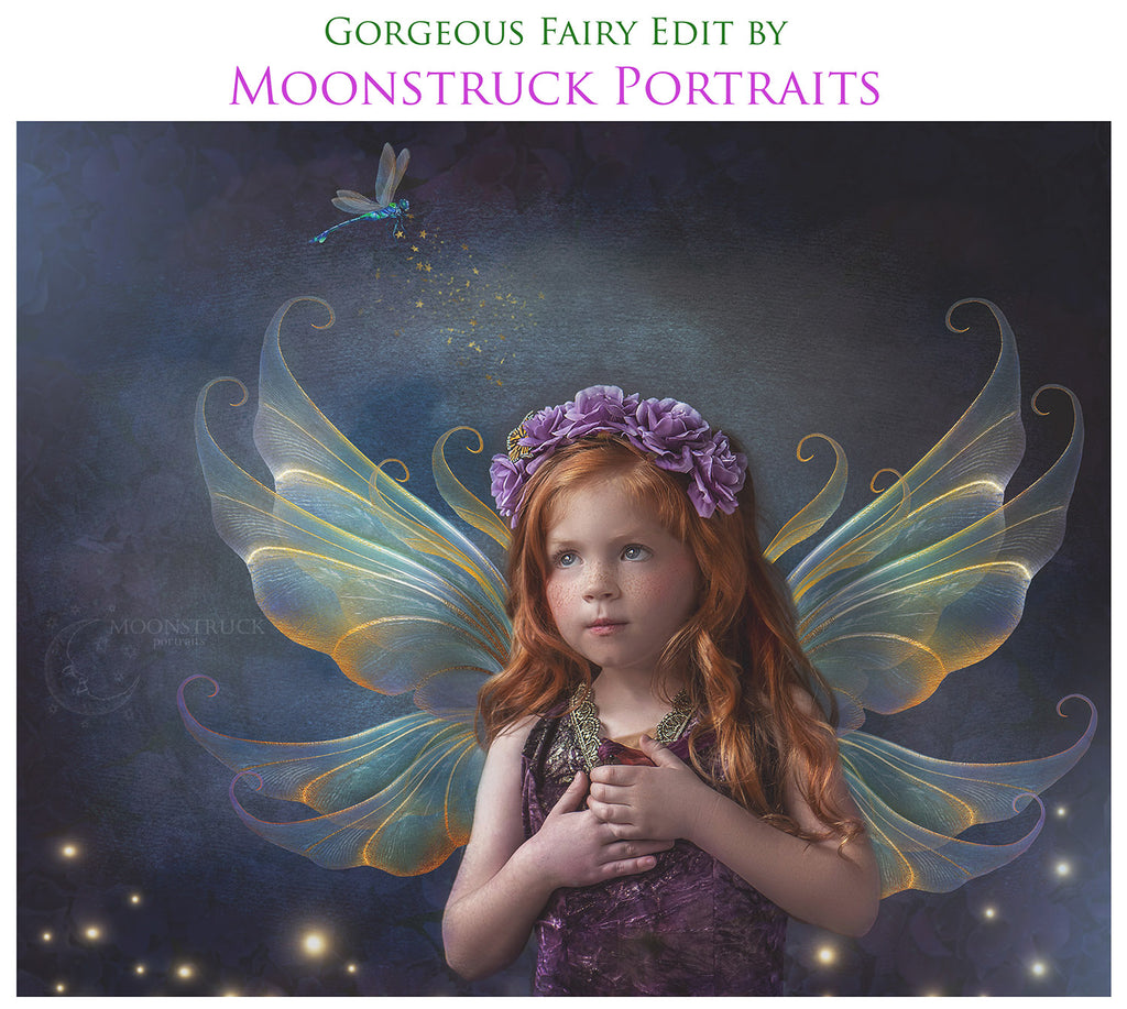 Digital Faery Wing Overlays! Fairy wings, Png overlays for photoshop. Photography editing. High resolution, 300dpi fairy wings. Overlays for photography. Digital stock and resources. Graphic design. Fairy Photos. Colourful Fairy wings. Faerie Wings.