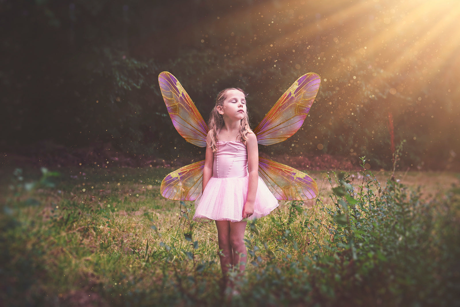 Digital Faery Wing Overlays! For Photographers, Digital Scrapbooking, Print, Fantasy Edits. Photoshop. Fairy wings, Png overlays for photoshop. Photography editing. High resolution, 300dpi fairy wings. Overlays for photography. Digital stock and resources. Graphic design. Fairy Photos. Colourful Faerie Wings. Digital Assets for photographers.