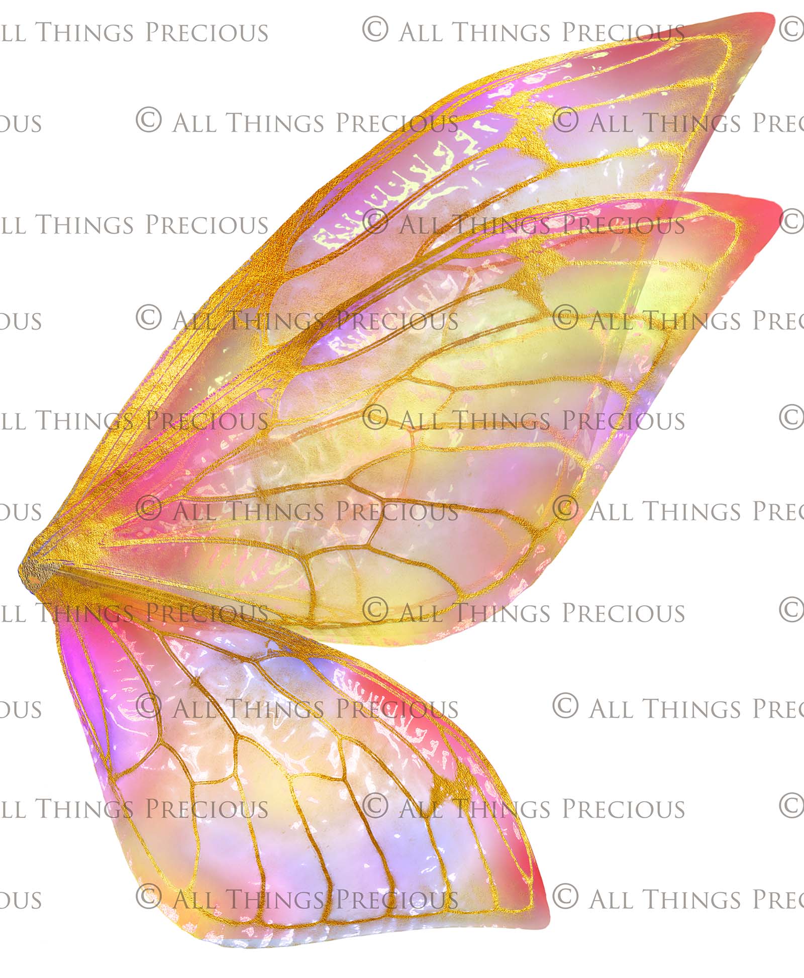 Digital Overlays for Photographers. Fairy Wings. High resolution, fine art digital assets for creating fantasy art.  Png overlay with transparent background. Magical Edit. Png Photo Overlays. Graphic design assets.