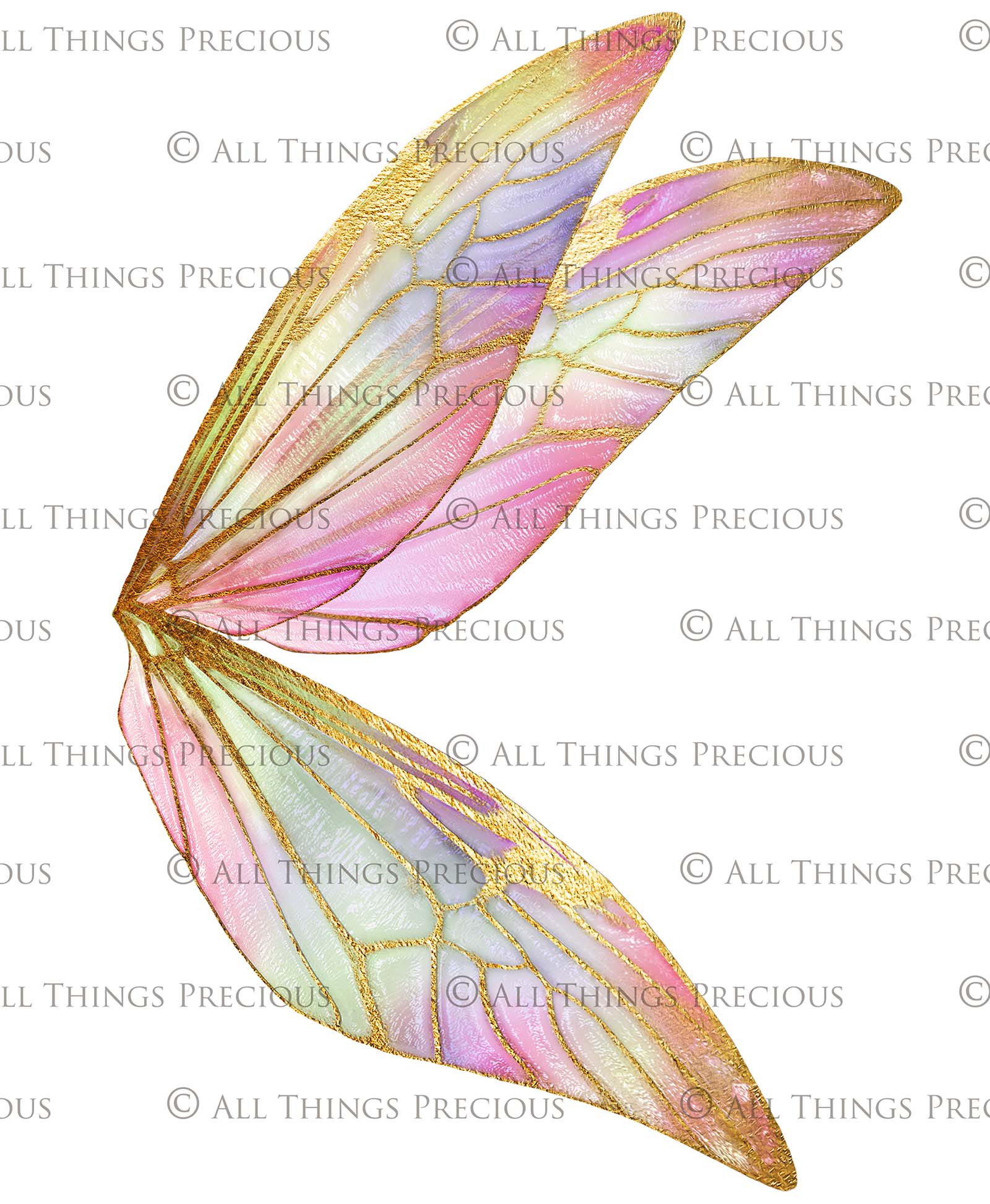 Digital Overlays for Photographers. Fairy Wings. High resolution, fine art digital assets for creating fantasy art.  Png overlay with transparent background. Magical Edit. Png Photo Overlays. Graphic design assets.
