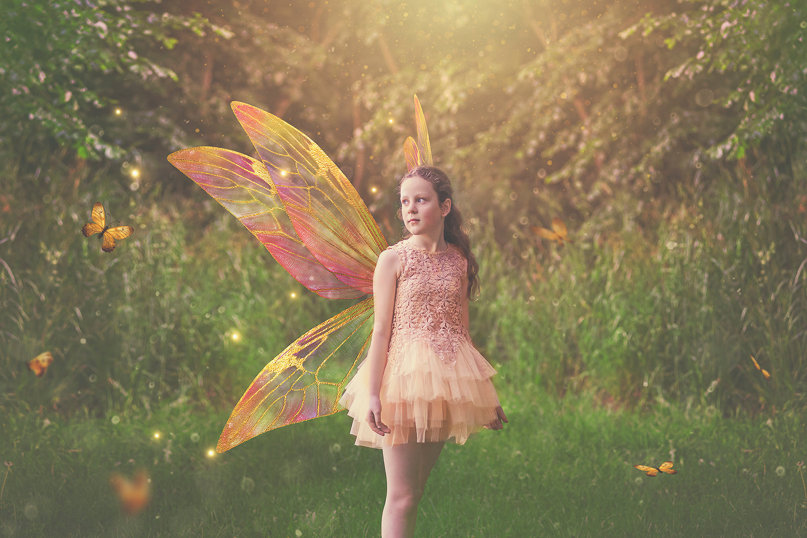 Digital Overlays for Photographers. Fairy Wings. High resolution, fine art digital assets for creating fantasy art.  Png overlay with transparent background. Magical Edit. Png Photo Overlays. Graphic design assets.