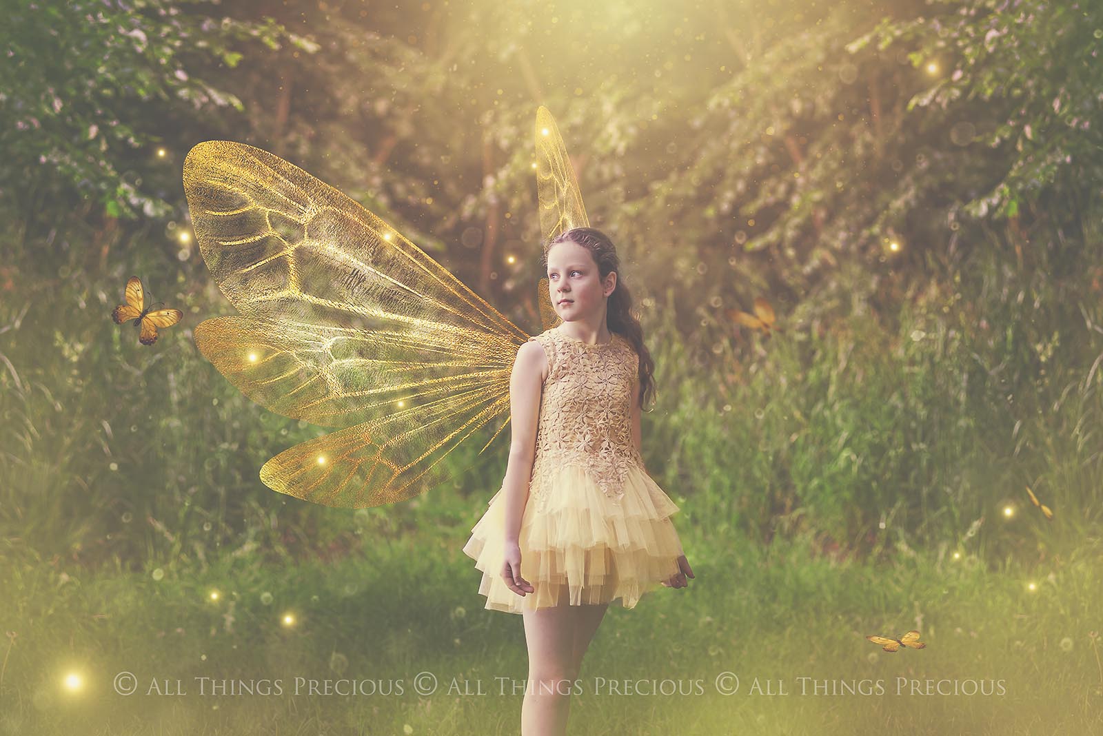 Digital Faery Wing Overlays! Fairy wings, Png overlays for photoshop. Photography editing. High resolution, 300dpi fairy wings. Overlays for photography. Digital stock and resources. Graphic design. Fairy Photos. Colourful Fairy wings. Faerie Wings.
